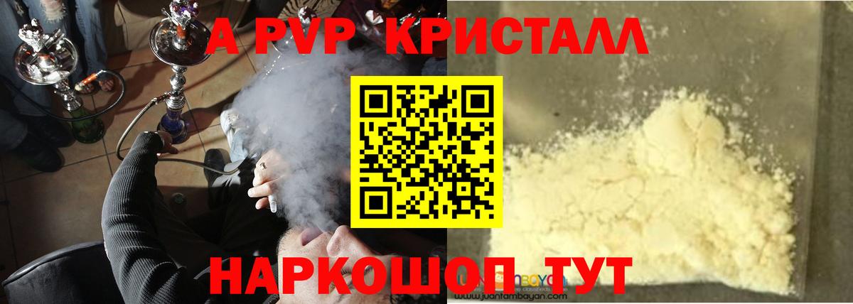 Новоалександровск  A PVP СК КРИС  Вход с VPN 
