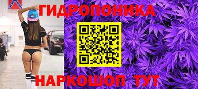 СК Донецк