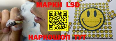 СК Донецк