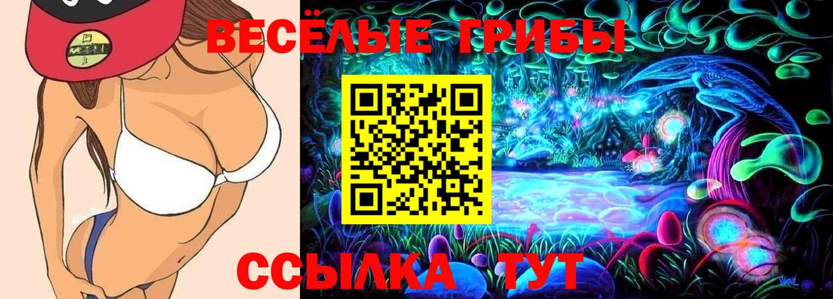Новоалександровск  Псилоцибиновые грибы GOLDEN TEACHER  Вход с VPN 
